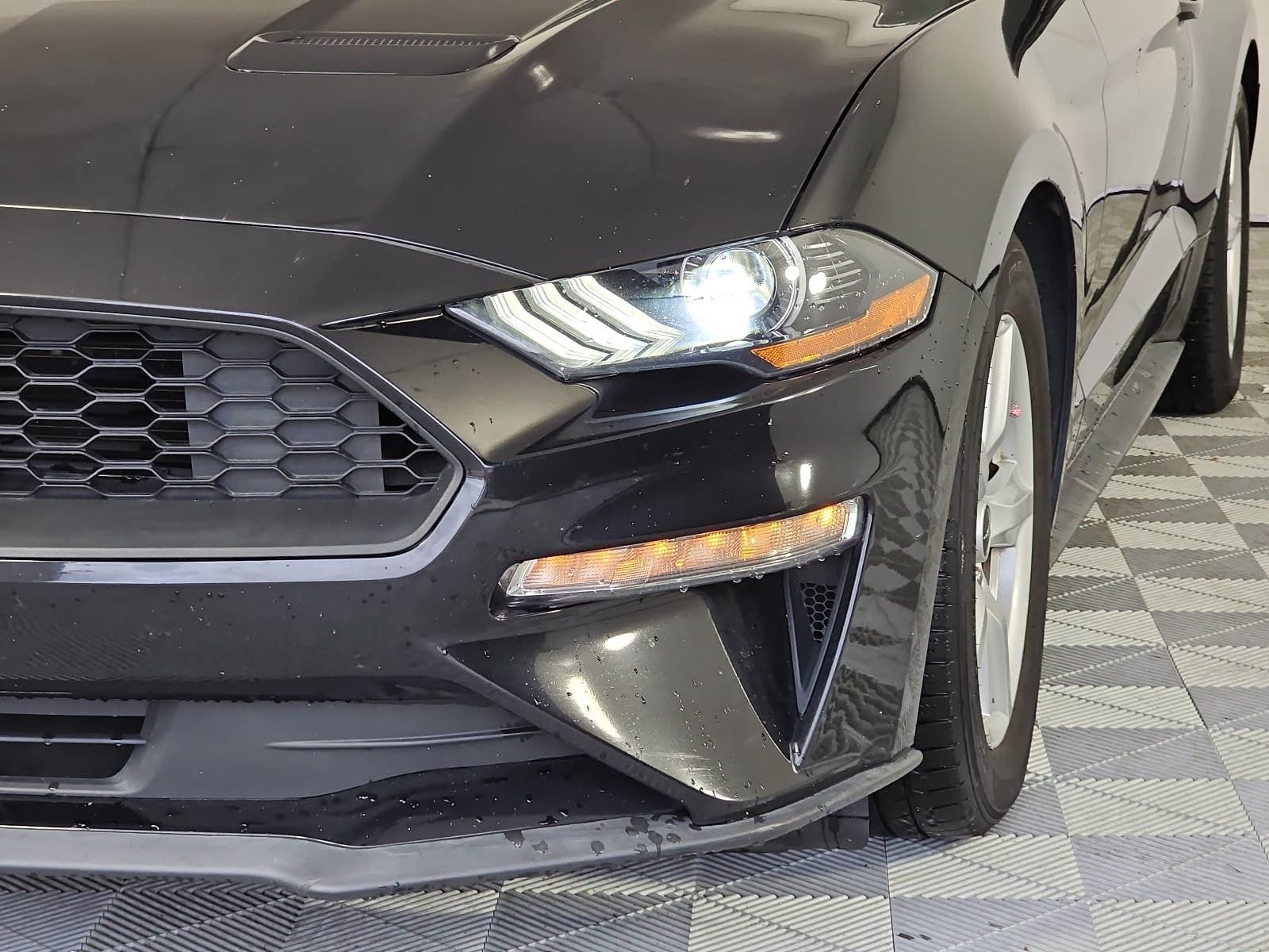 2019 Ford Mustang EcoBoost
