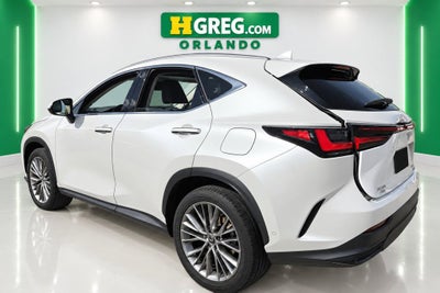 2024 Lexus NX 350h Luxury