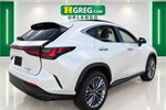 2024 Lexus NX 350h Luxury