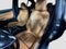2021 BMW 5 Series 540i xDrive
